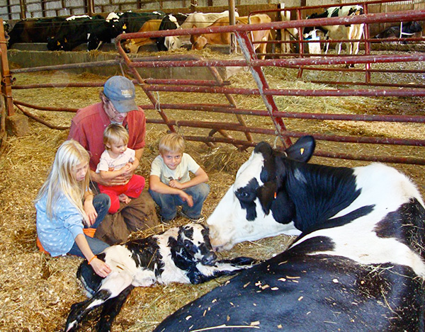 011315_TMnewborncalfwithAaronandchildrenlookingon
