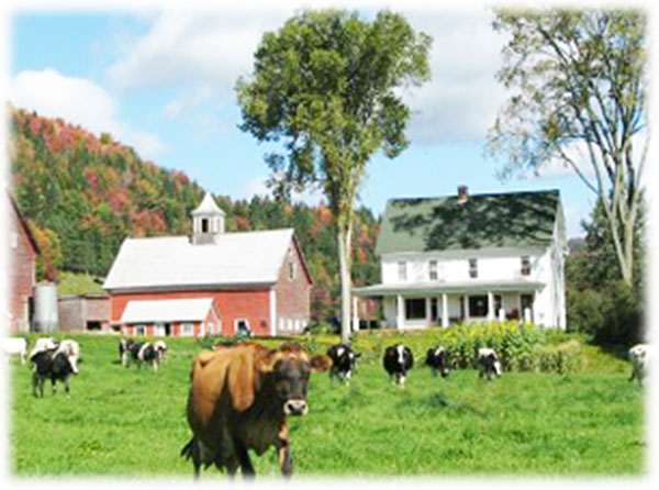 012213_IndianStreamFarm2