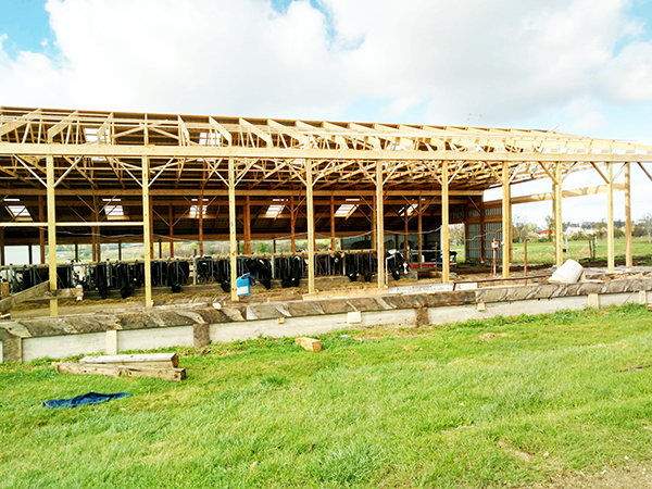 061818600pxffrebuildingthe1970sfreestall