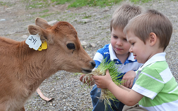 072213ffjulySToltzfus