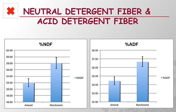 120912_detergent_fiber