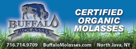 nodpa banner ad Buffalo Molasses
