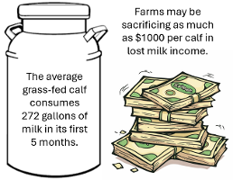 4th graphic calf thumb
