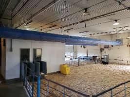 Auto Calf Feeder Barn_thumb