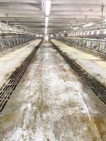 Barn interior without cows_thumb