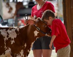 DSC 0063 (1) Copy thumb