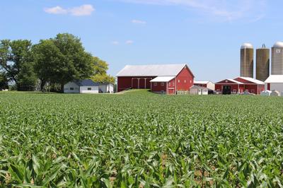 FF Stoller barn and crops growing in front of it_small
