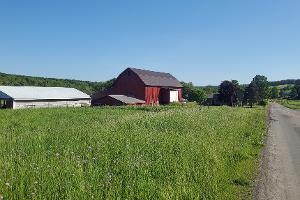 From the North Heifer Barn on Left_thumb