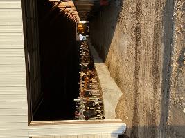 IMG_0658_thumb