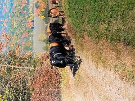 IMG_0684_thumb