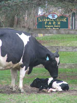 KimballBrookFarm1