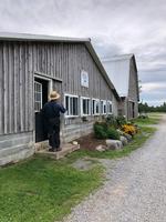 Milk room photo_thumb