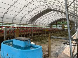 Peachey barn pic_thumb