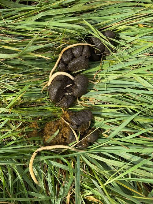 Refresher article photo 3 small