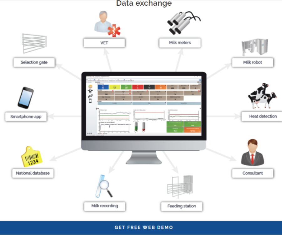 Software article chart large