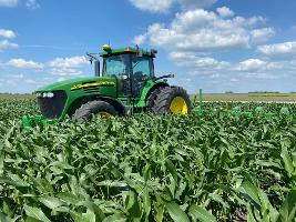 Tractor with flamer in corn_thumb