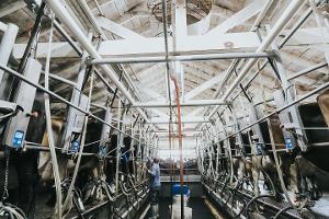 callieaphoto30_thumb