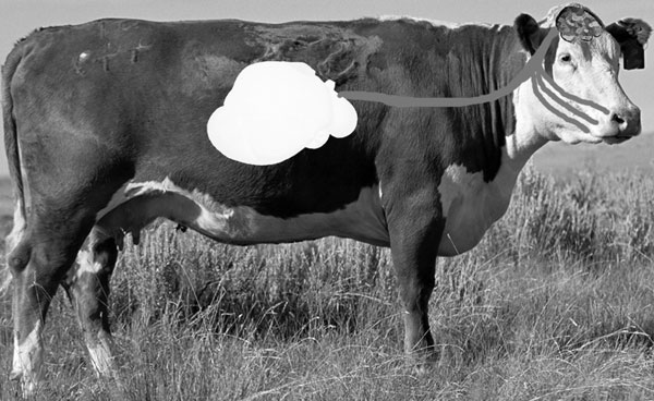 eat_weeds1