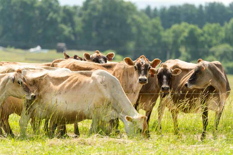 ff_July_Some_of_the_girls