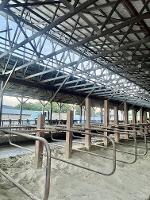 freestall barn with simple construction_thumb