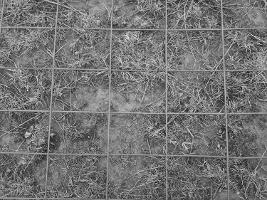 grid pic thumb