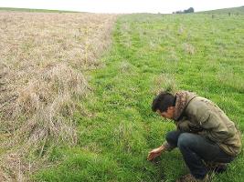 wdispatch_carbonfarming_managedgrazingelectricmoveablefence_ds_vl_2400_thumb