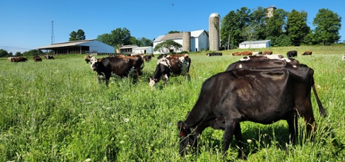 FEATURED FARMS: Sweetening the Deal, Goodell Family Farm, Mantua, Ohio