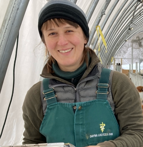 Ask the Vet, November 2025: How can I improve hoof health on my farm?