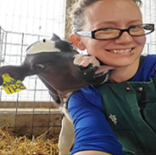 Ask the Vet: How should I manage Calf Pneumonia in my herd?