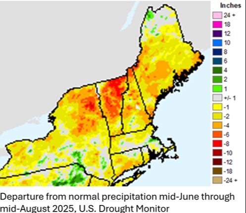 In the Wake of Drought: Pasture Assessment and Recovery Planning