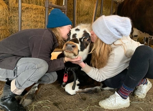 FEATURED FARM: Find the scale that works for you: Kiss the Cow Farm, Barnard, Vermont, owned and operated by Randy and Lisa Robar FEATURED FARM: Find the scale that works for you: Kiss the Cow Farm, Barnard, Vermont, owned and operated by Randy and Lisa Robar