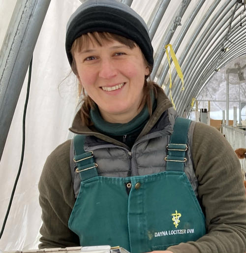 Ask the Vet: What can we do about the new tick in the Northeast, the Asian Longhorned Tick? Ask the Vet: What can we do about the new tick in the Northeast, the Asian Longhorned Tick?
